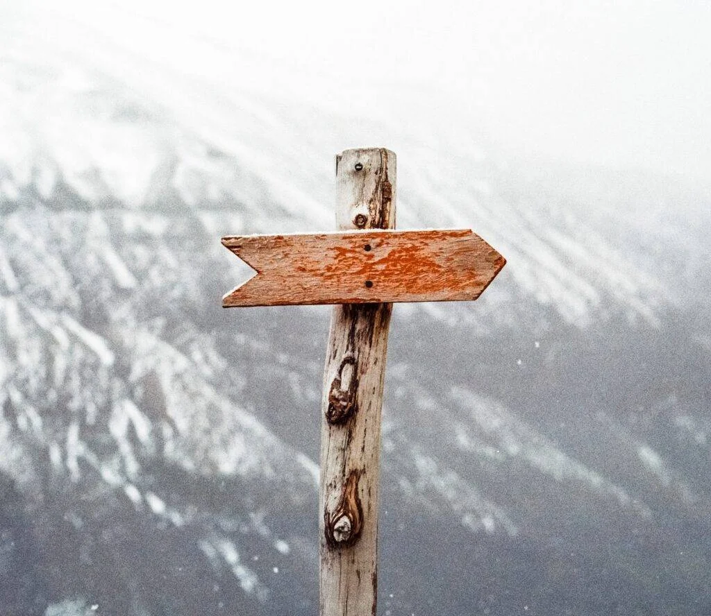 nofollow vs. noindex