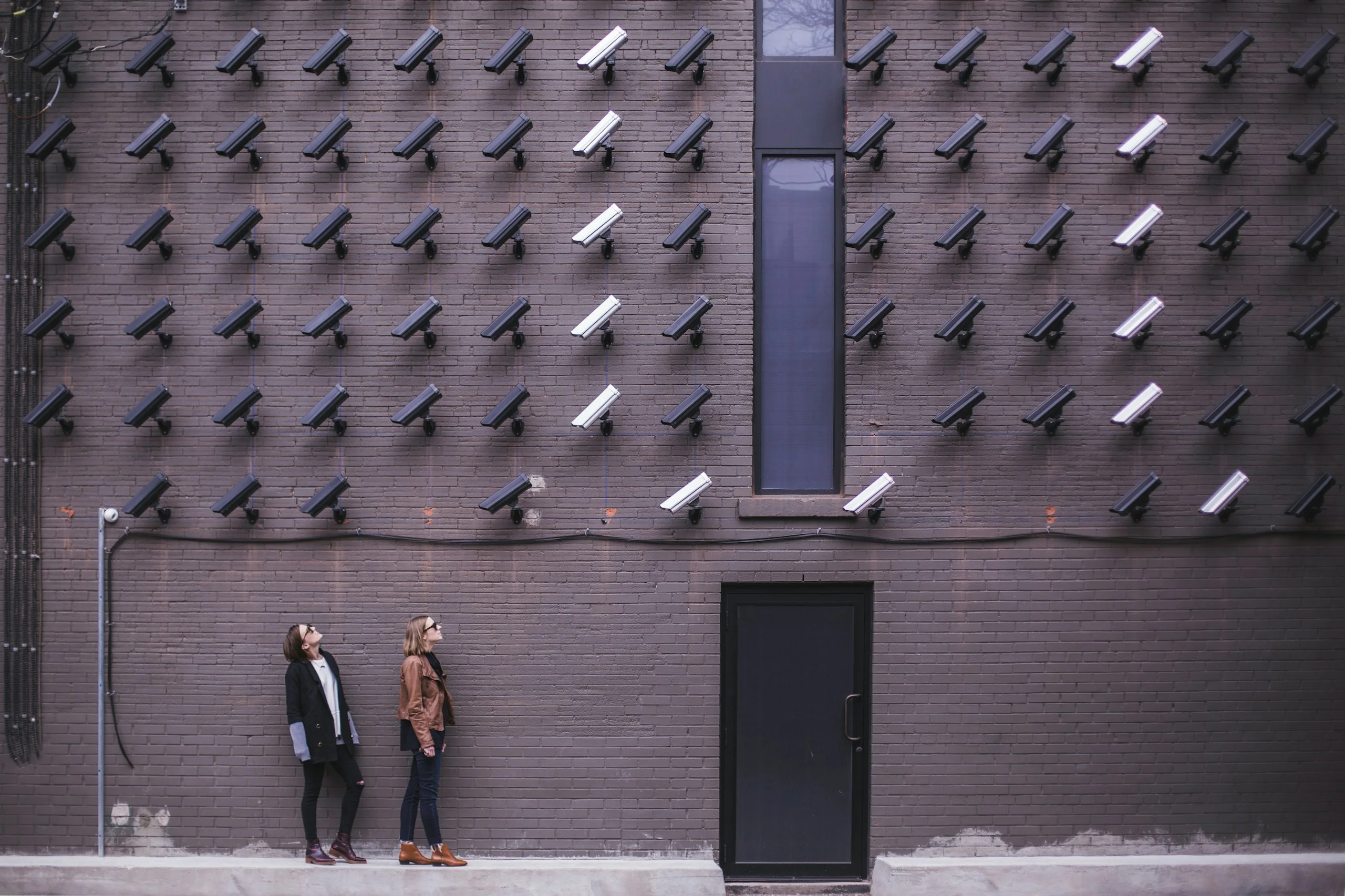 SEO : pourquoi la surveillance quotidienne est votre atout ROI ?