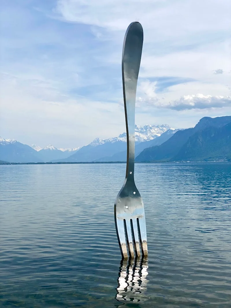 Vue de Vevey et de la Riviera vaudoise
