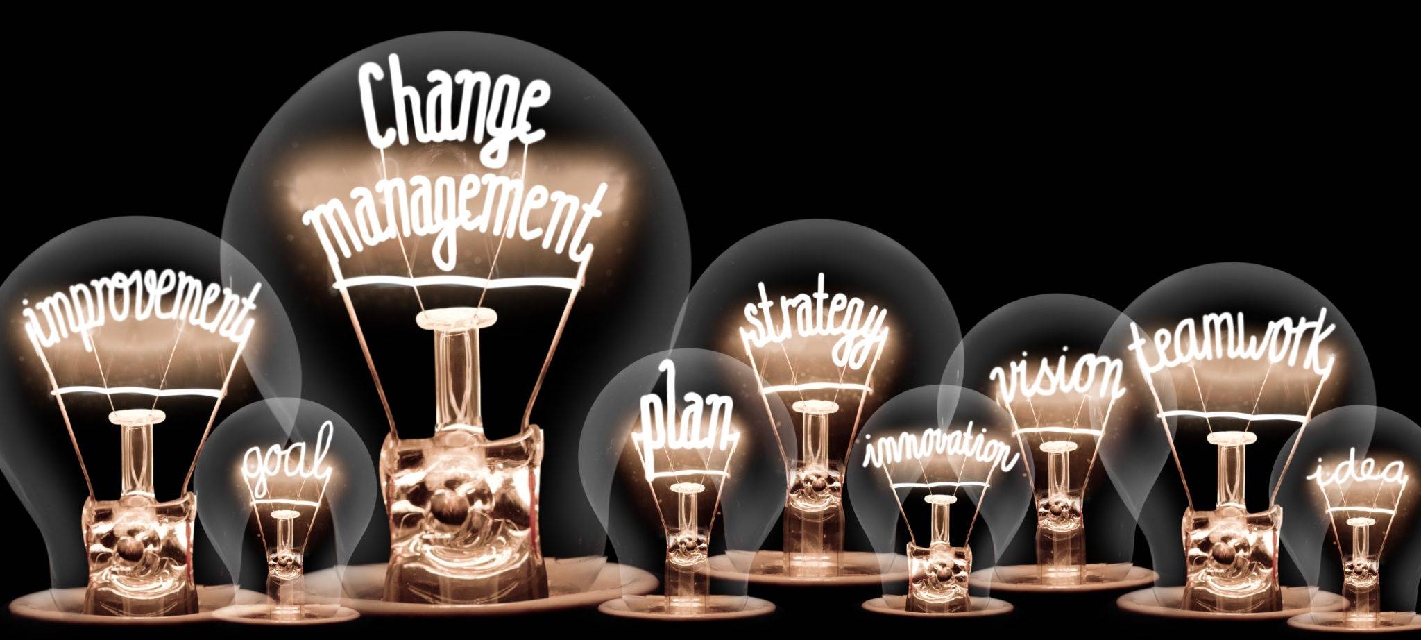 le micro manager en entreprise