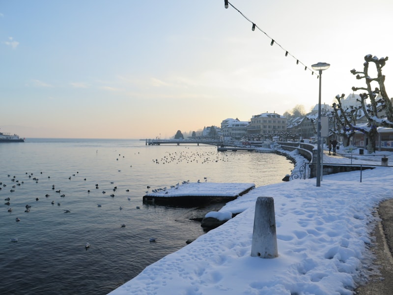 Vue de Nyon et du lac Léman
