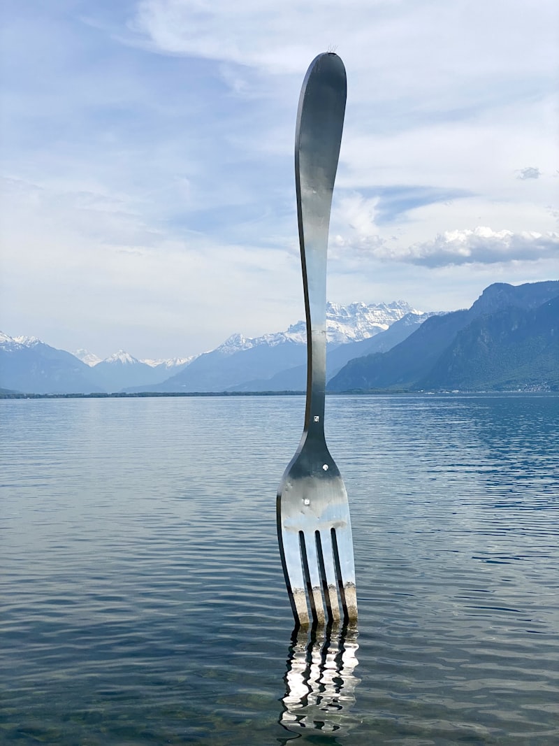 Vue de Vevey et de la Riviera vaudoise